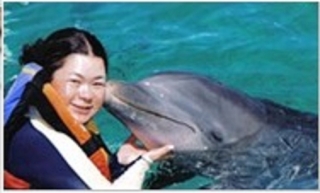  Nager avec les dauphins 